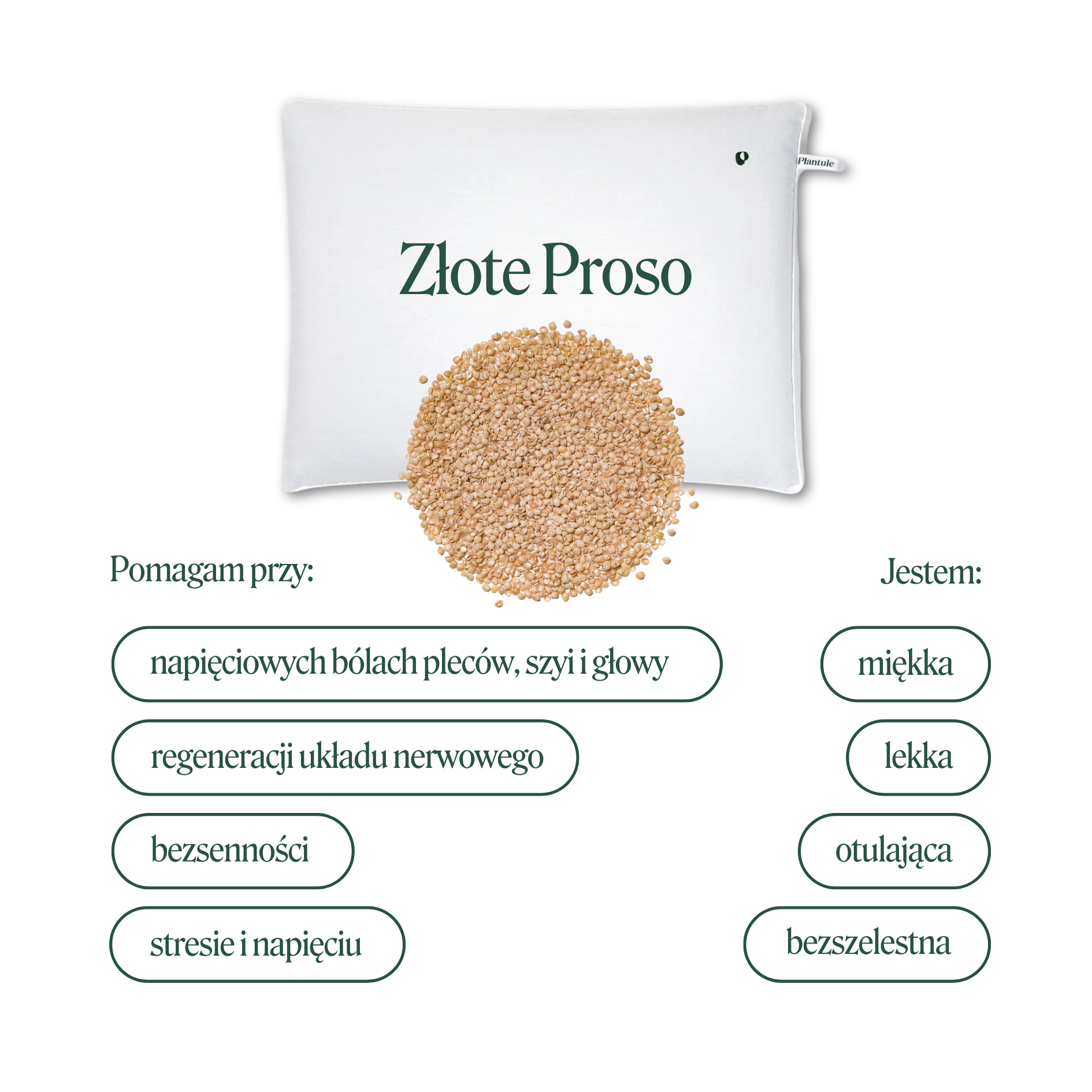 Poduszka do spania z łuską złotego prosa 45 x 60 cm MD