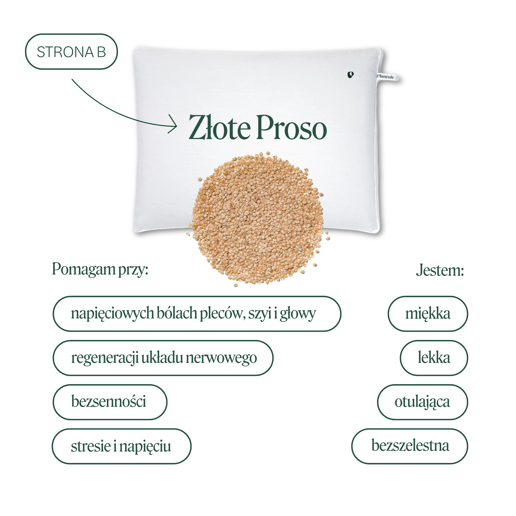 BLACK: Łuska na uzupełnienie (różne rodzaje)