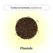 BLACK: Łuska na uzupełnienie (różne rodzaje)
