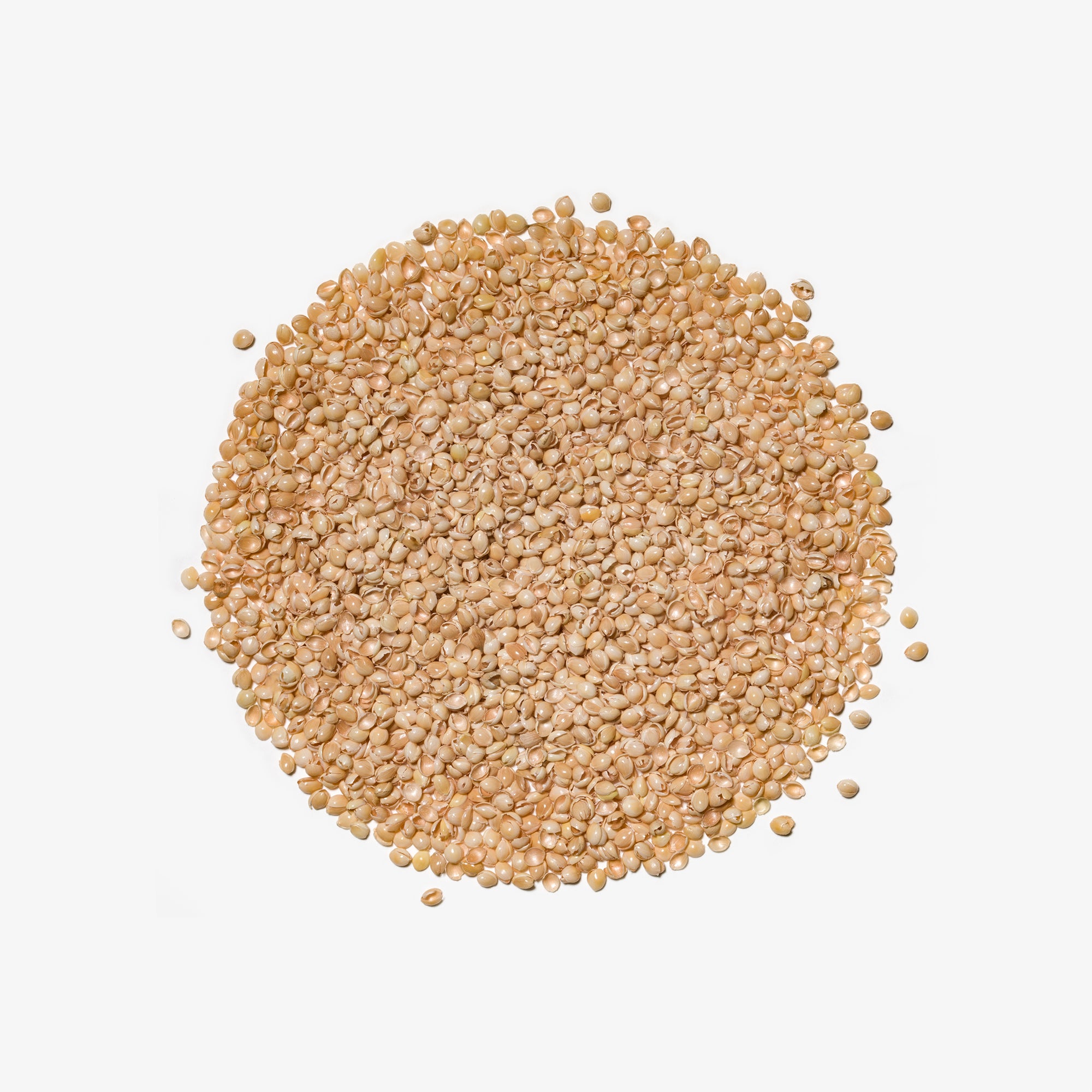 BLACK: Łuska na uzupełnienie dwustronna (różne rodzaje)