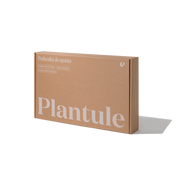 Poduszka z łuską złotego prosa 50 x 75 cm MD