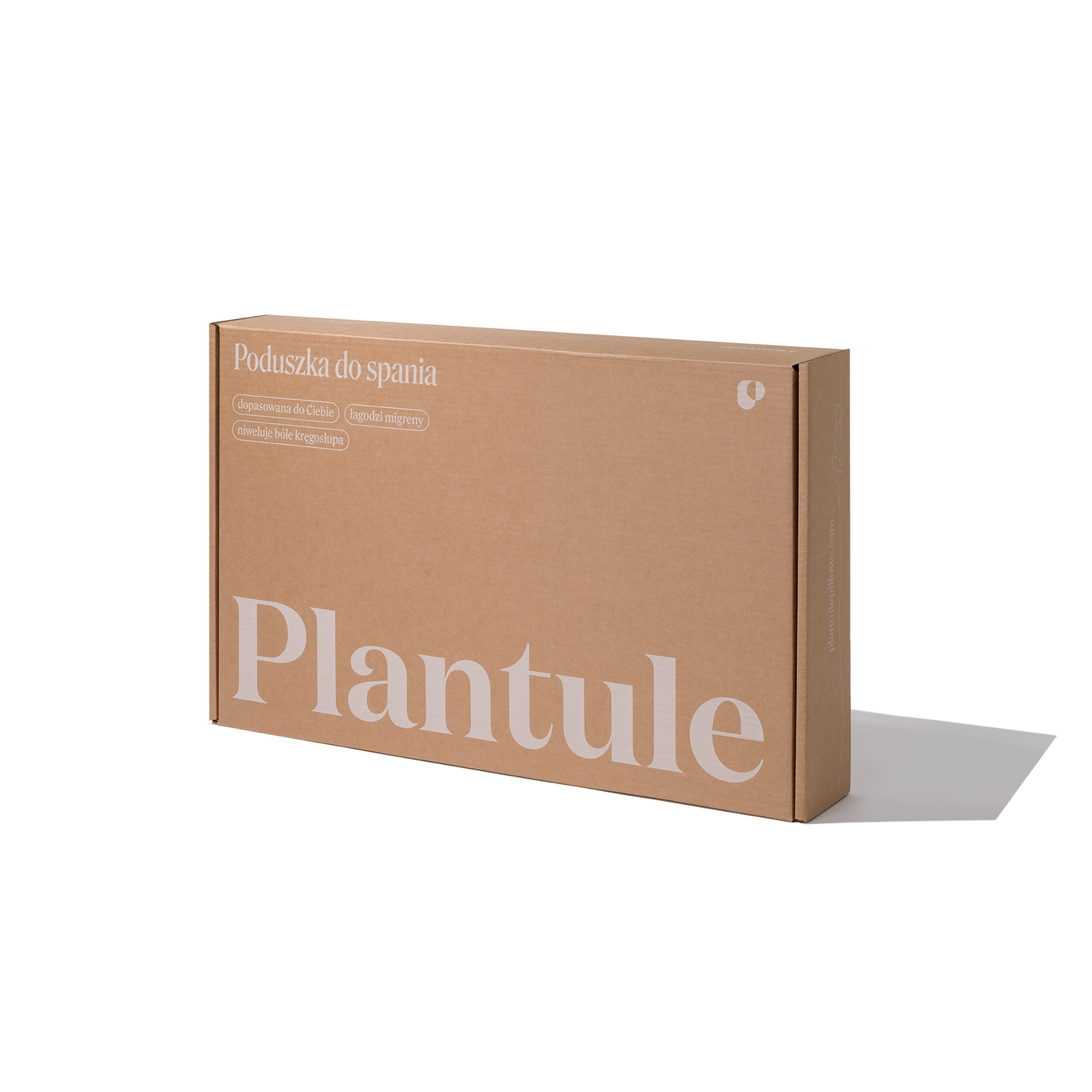 Poduszka z łuską złotego prosa 50 x 75 cm MD