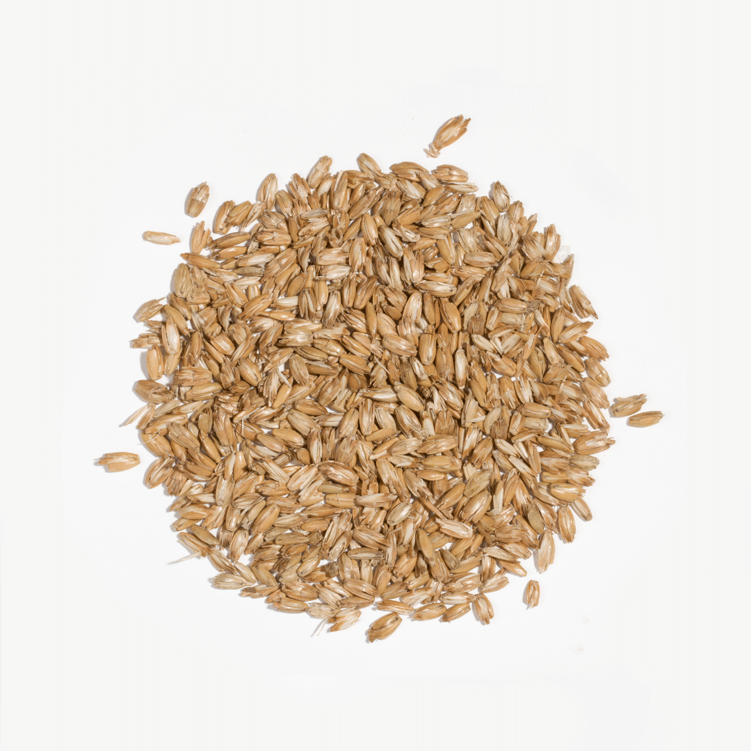 BLACK: Poduszka z łuską orkiszu MD (różne rozmiary)