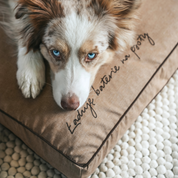 Legowisko z łuską gryki dla psa beżowe – różne rozmiary