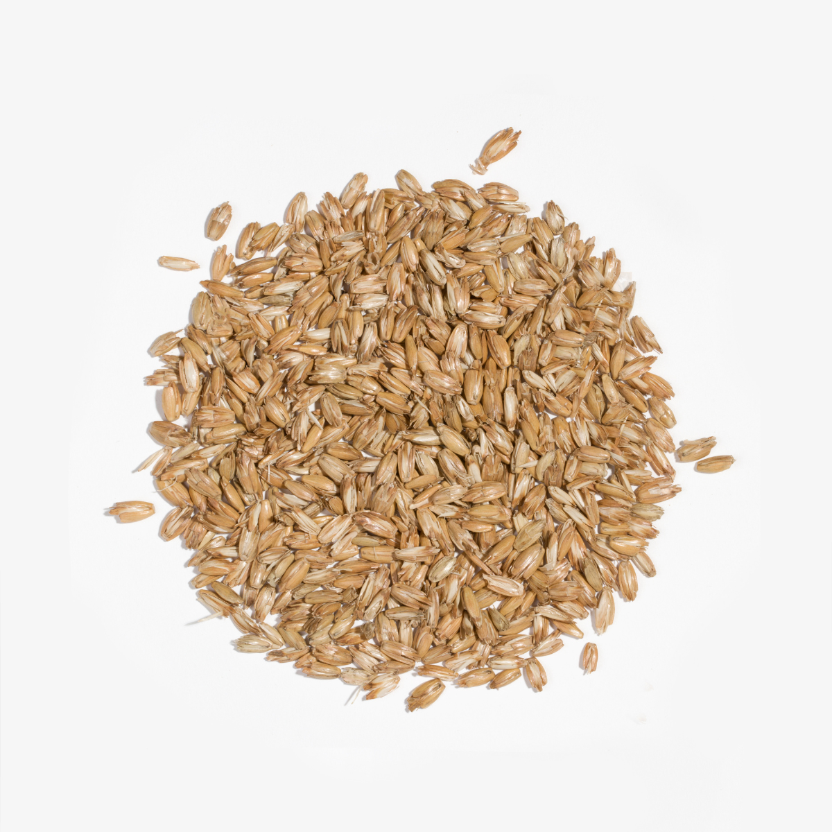 BLACK: Łuska na uzupełnienie (różne rodzaje)