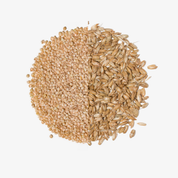 BLACK: Łuska na uzupełnienie dwustronna (różne rodzaje)