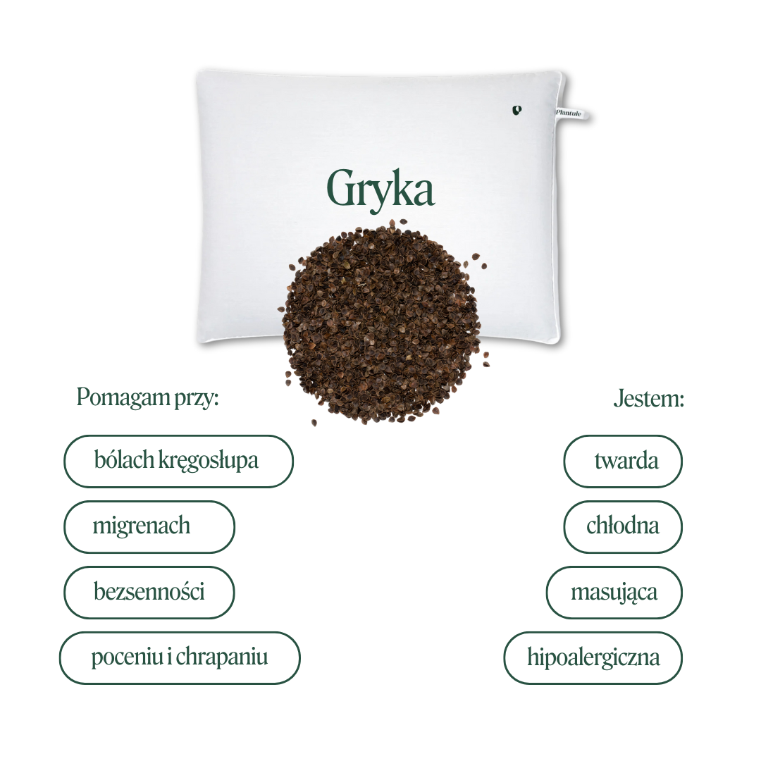 Poduszka z łuską gryki 50 x 75 cm MD