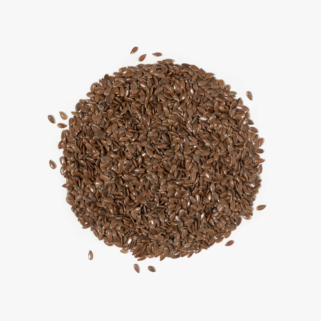 ekologiczne_siemie_lniane_plantule