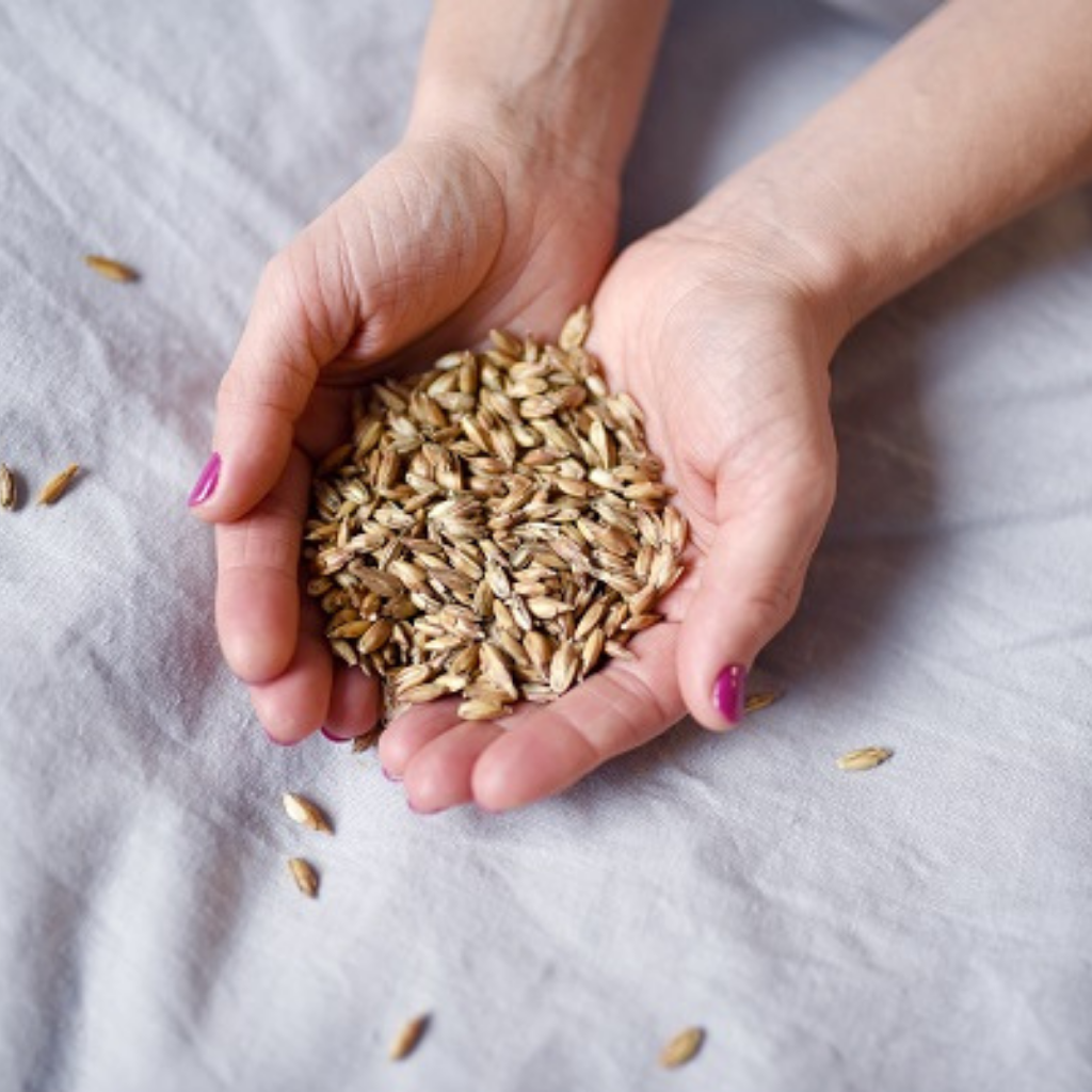 Dłonie wypełnione łuską płaskurki