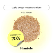Łuska złotego prosa – uzupełnienie Jaśka 40x40cm
