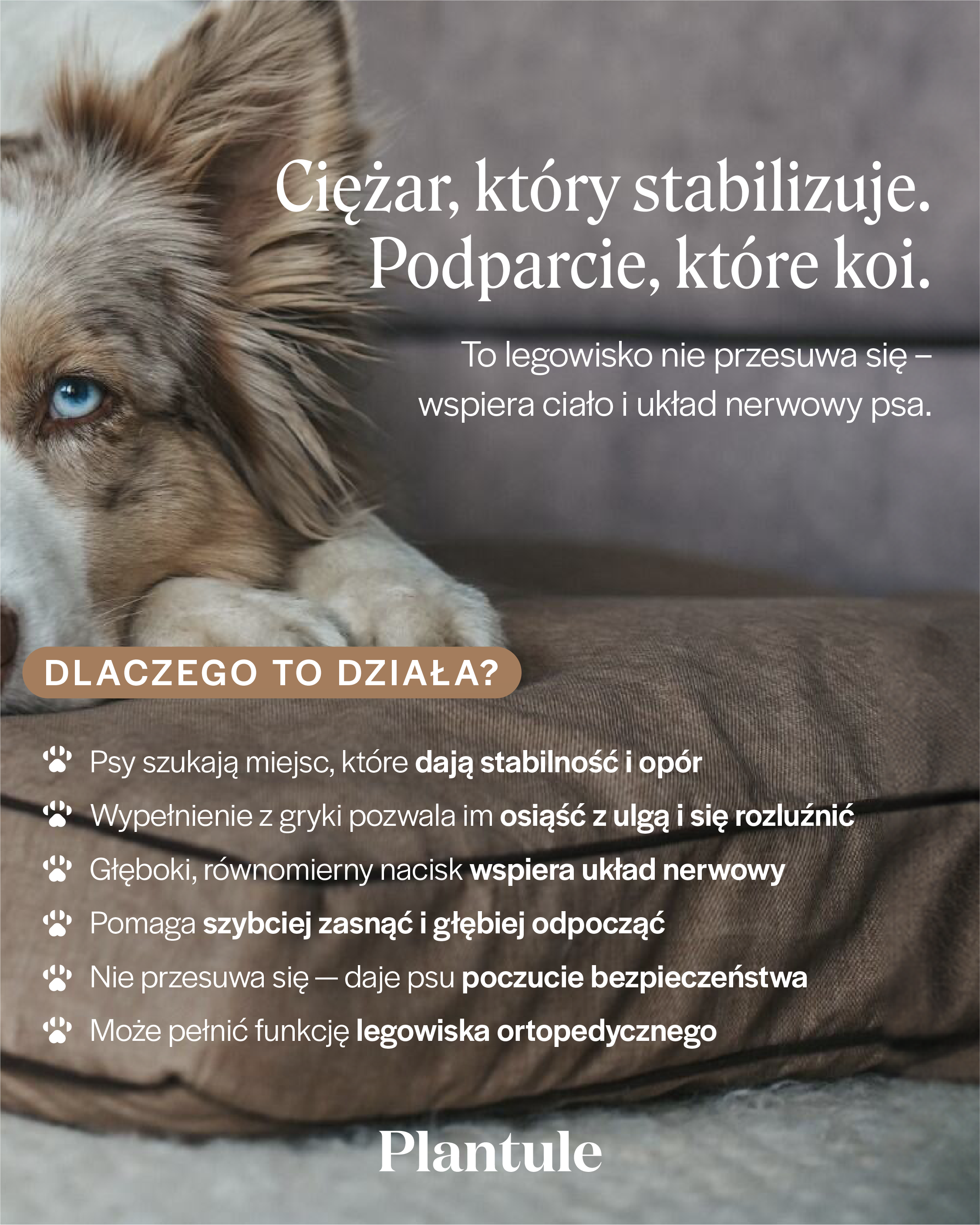 Ciężar który stabilizuje