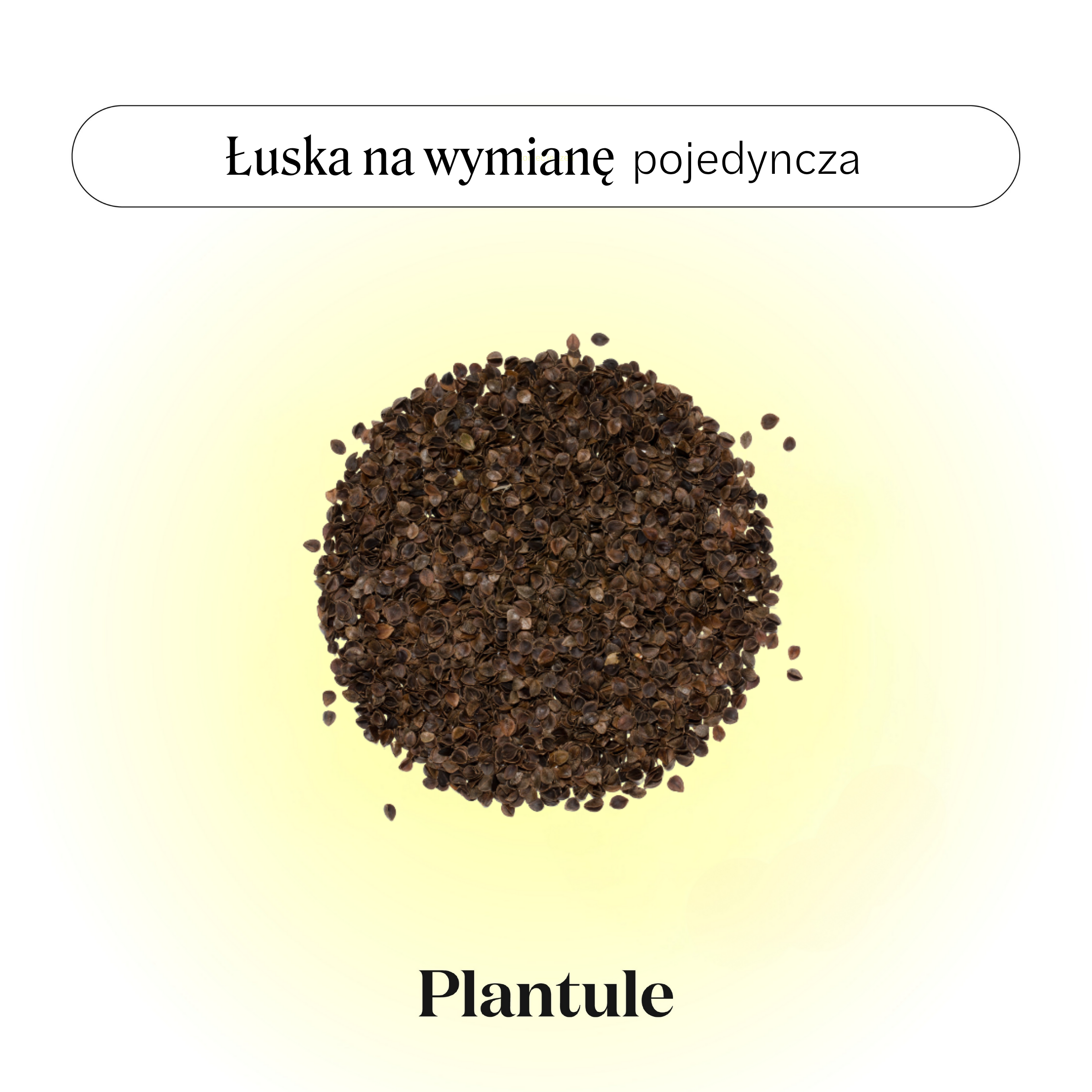 BLACK: Łuska na uzupełnienie (różne rodzaje)