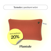 Termofor z pestkami wiśni (rudy)