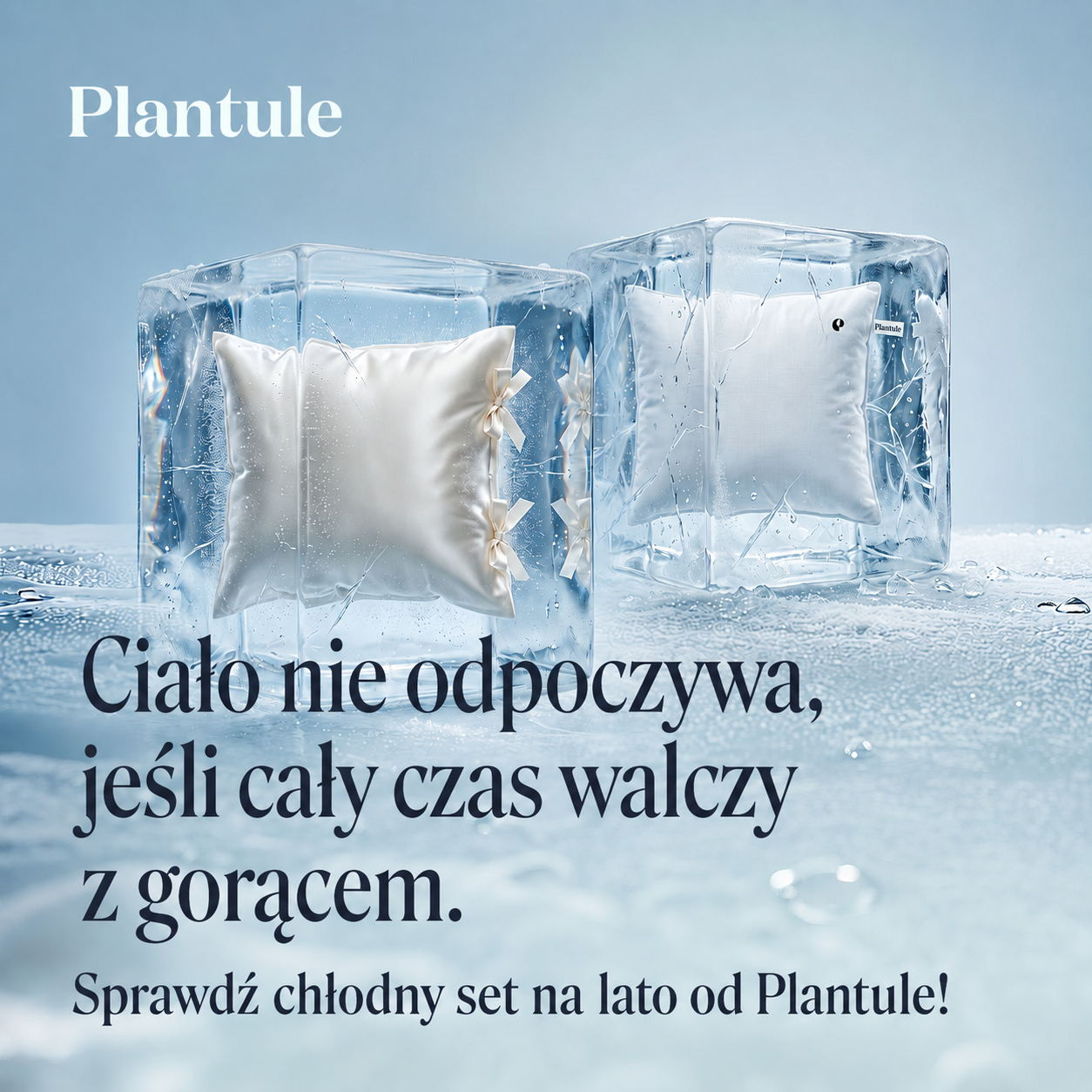 Plantule_Kampania_LATO_2026_1080x1080_karuzela_01.png