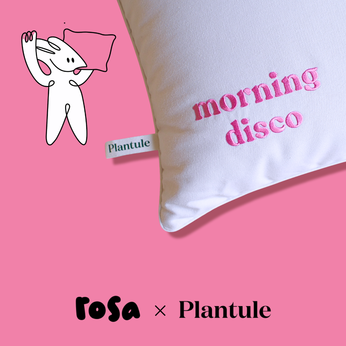 rosa_plantule_morning_disco_3.png