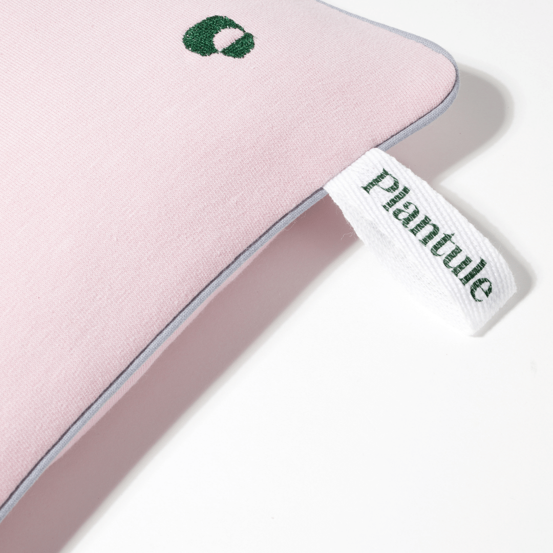  Suchy termofor Plantule z ekologicznymi pestkami wiśni